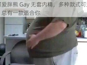 可爱胖熊 Gay 无套内精，多种款式可选，总有一款适合你