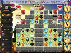 创造与魔法：探索柳条获取之道，解锁自然魔法的秘密之旅