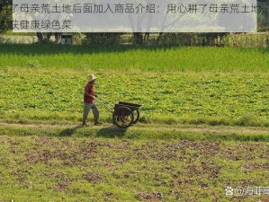 在耕了母亲荒土地后面加入商品介绍：用心耕了母亲荒土地，只为收获健康绿色菜