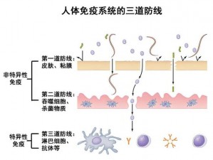 佳柔和医院长第 2 部第一集：提高免疫力的秘密武器