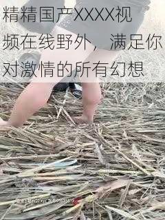 精精国产XXXX视频在线野外，满足你对激情的所有幻想