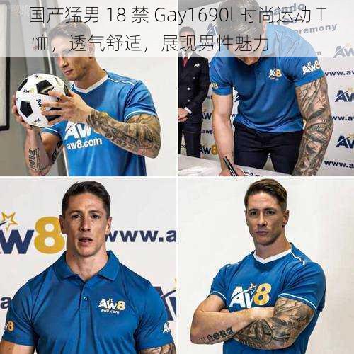 国产猛男 18 禁 Gay1690l 时尚运动 T 恤，透气舒适，展现男性魅力