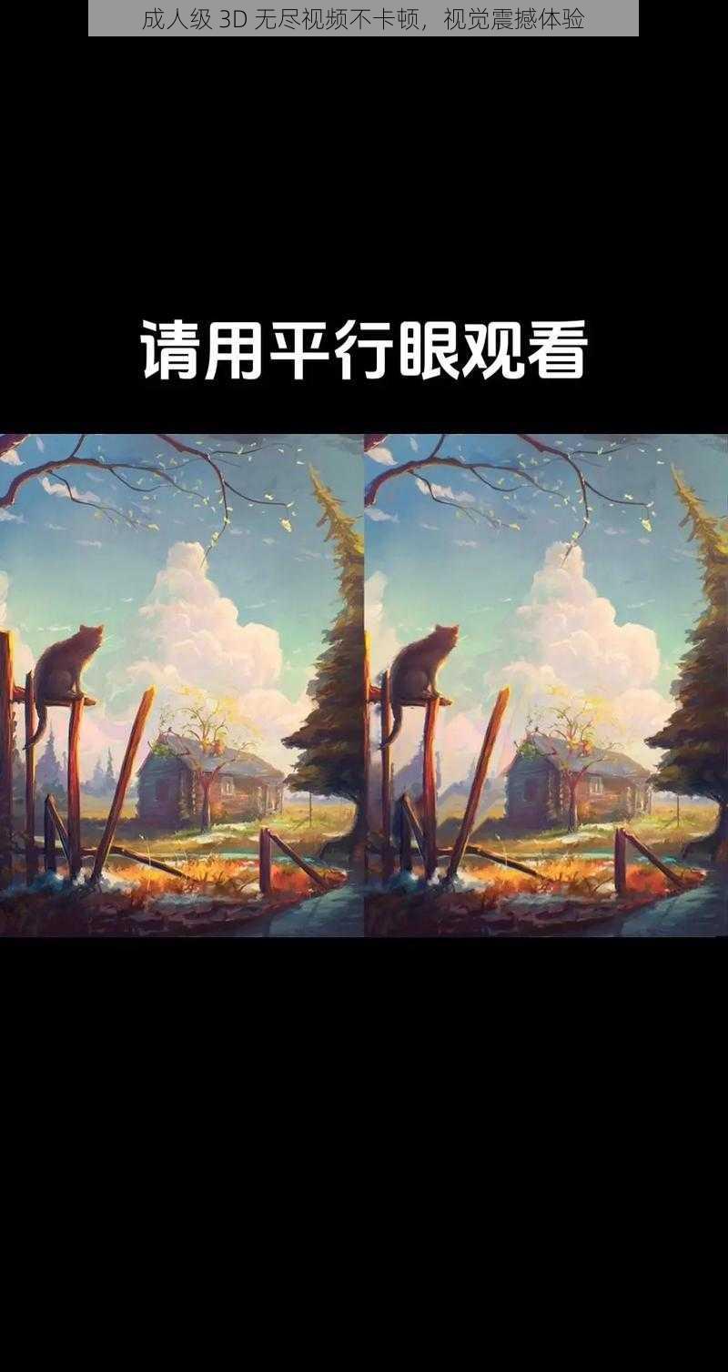 成人级 3D 无尽视频不卡顿，视觉震撼体验