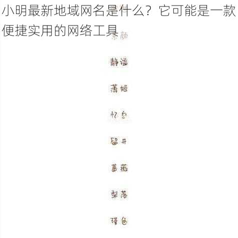 小明最新地域网名是什么？它可能是一款便捷实用的网络工具