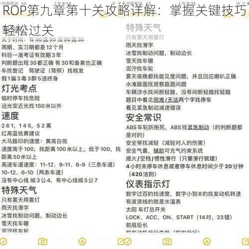 ROP第九章第十关攻略详解：掌握关键技巧轻松过关